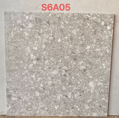 S6A05