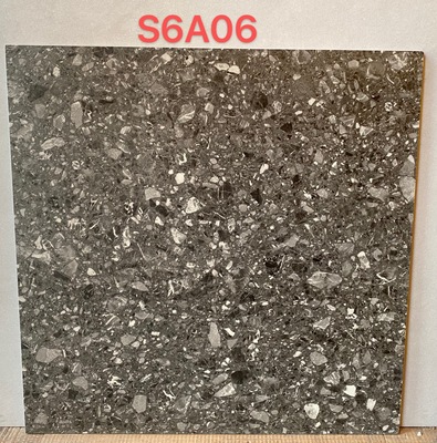 S6A06