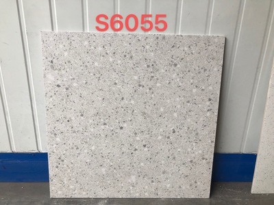 S6055